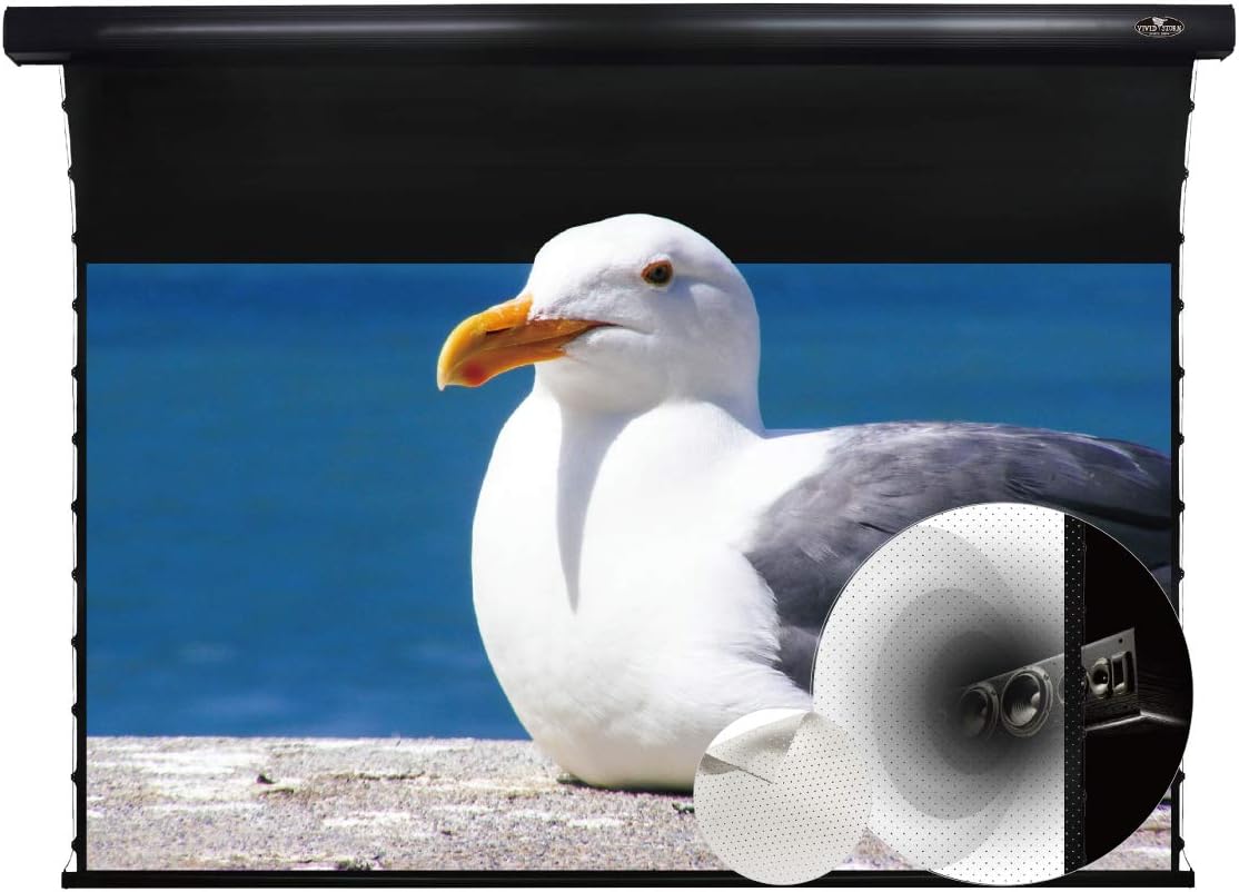 Motorized Tension Projector Screen Y775