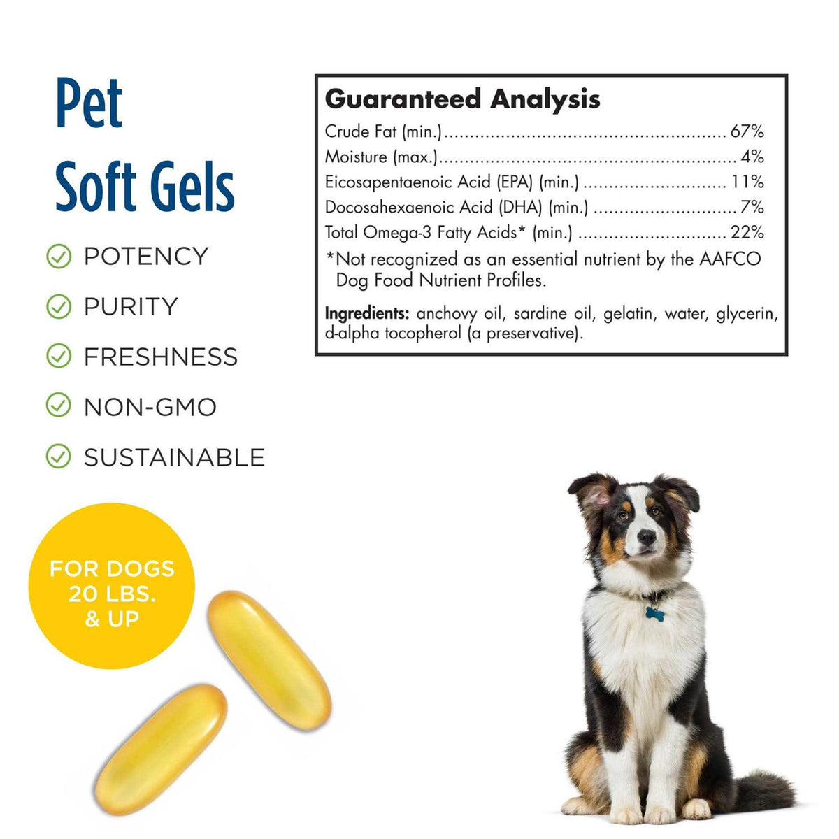 Omega 3 Pet P478200
