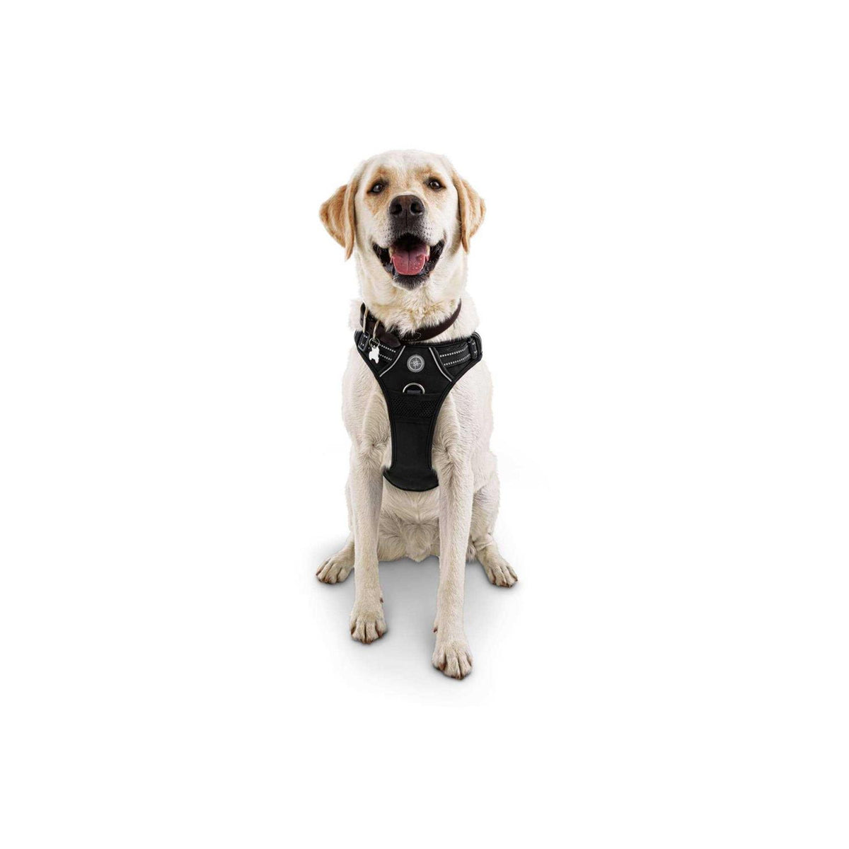Black Front Walking Dog Harness L1779