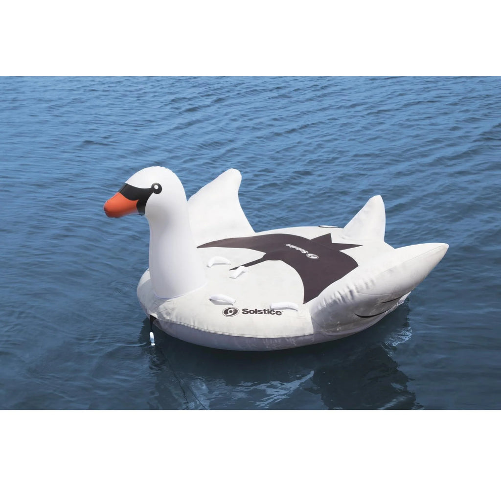 2-Person Inflatable Pool Float X34464