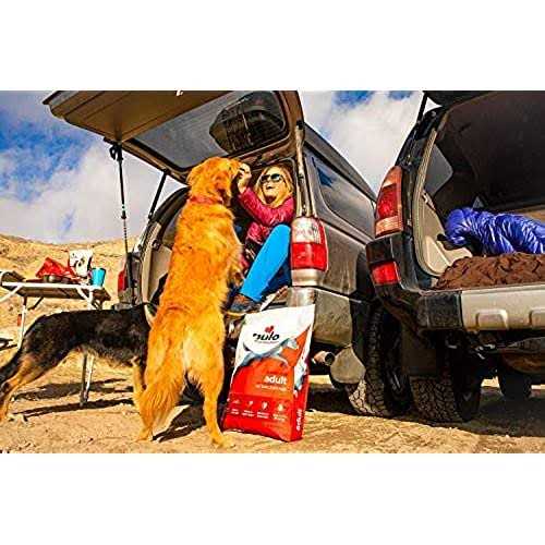 Turkey Dry Dog Food Z749