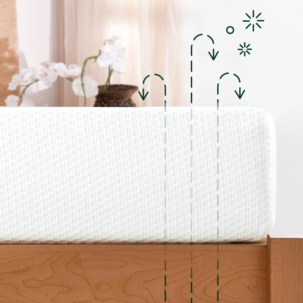 Queen Memory Foam Mattress M9147