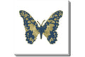 Blue Gold Butterfly Gallery Wrap Canvas 24x22 U9428