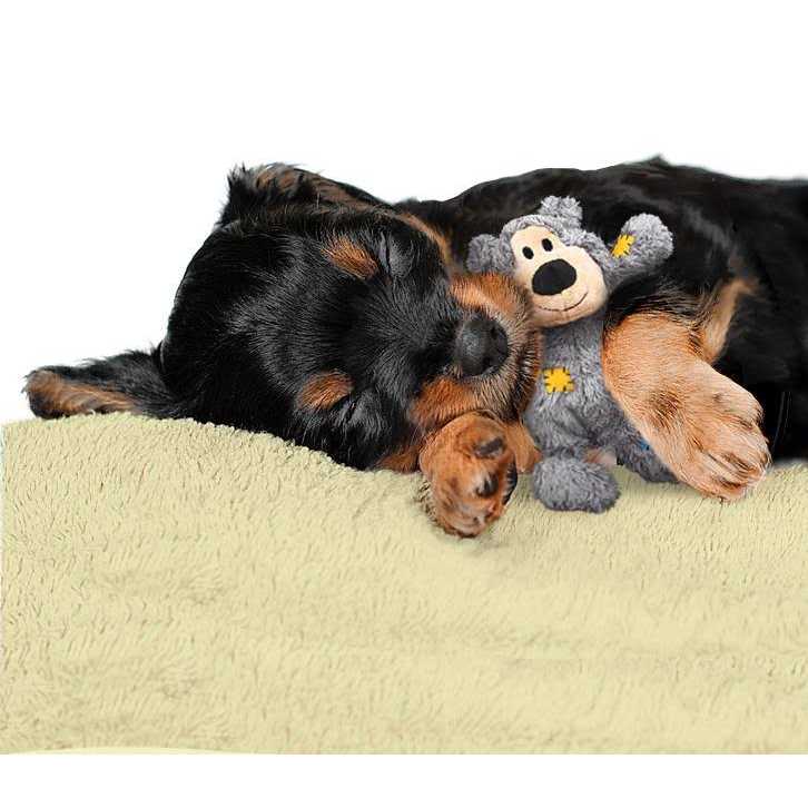 Bear Dog Toy Y797