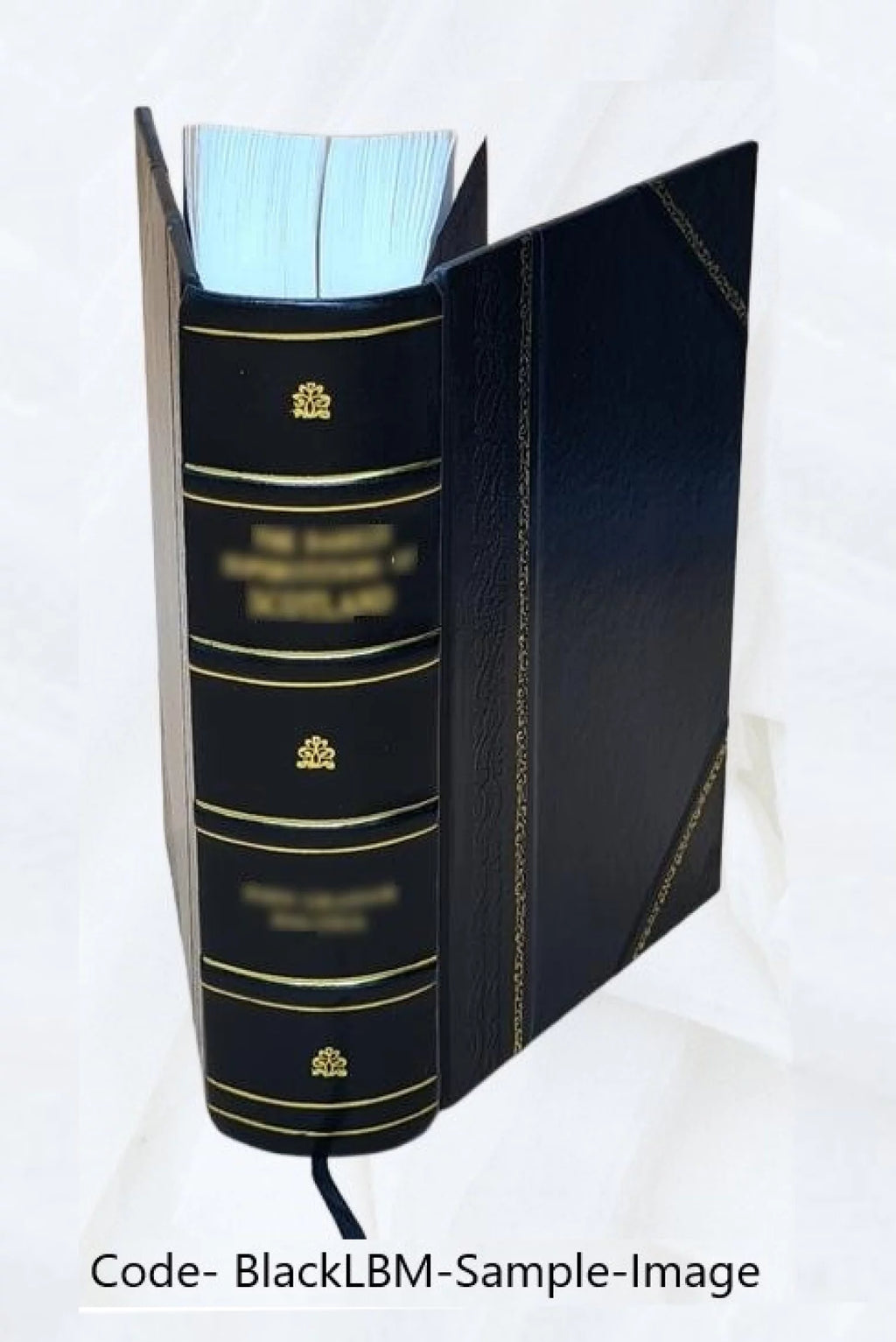 Leather Bound Q69591