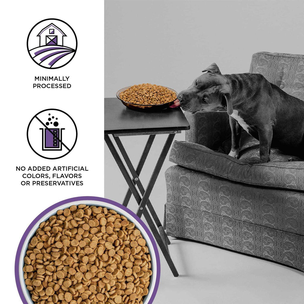 Dog Food G947371