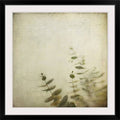 Photographic Print Black Frame 32x22 I46117