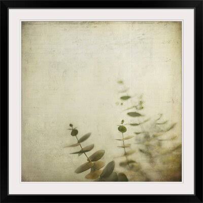 Photographic Print Black Frame 32x22 I46117