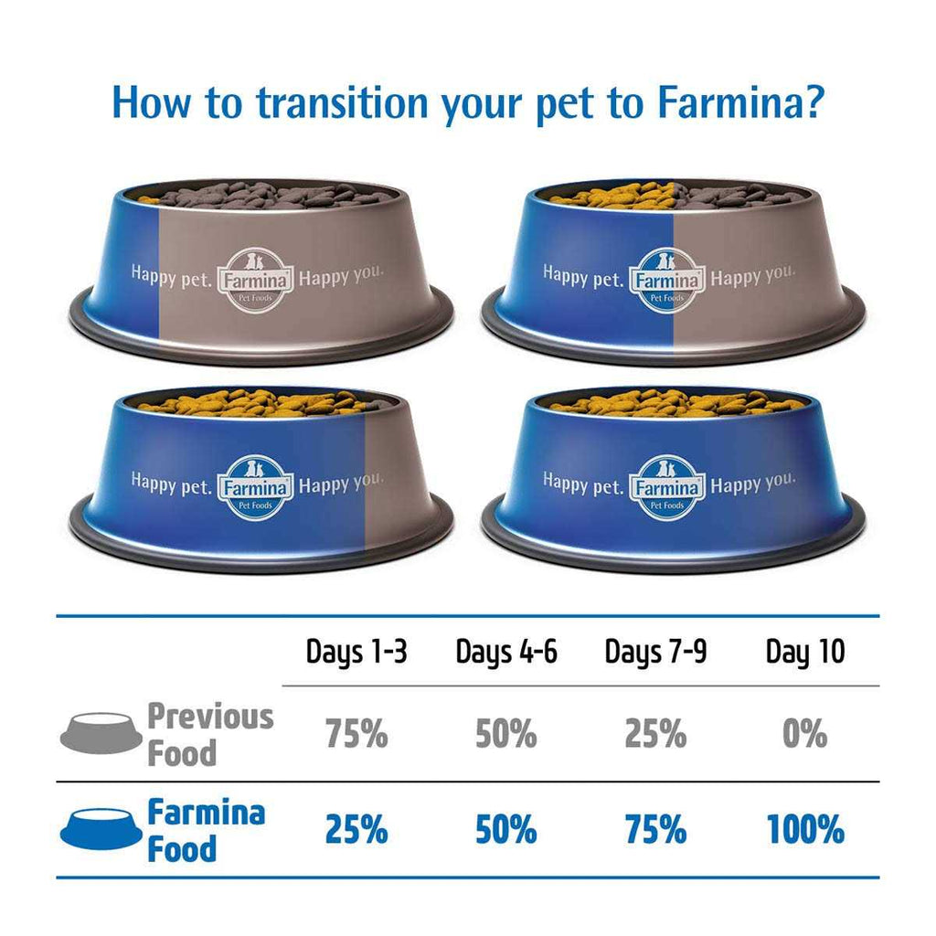 Pumpkin Lamb & Blueberry Mini Dog Dry Food O89927