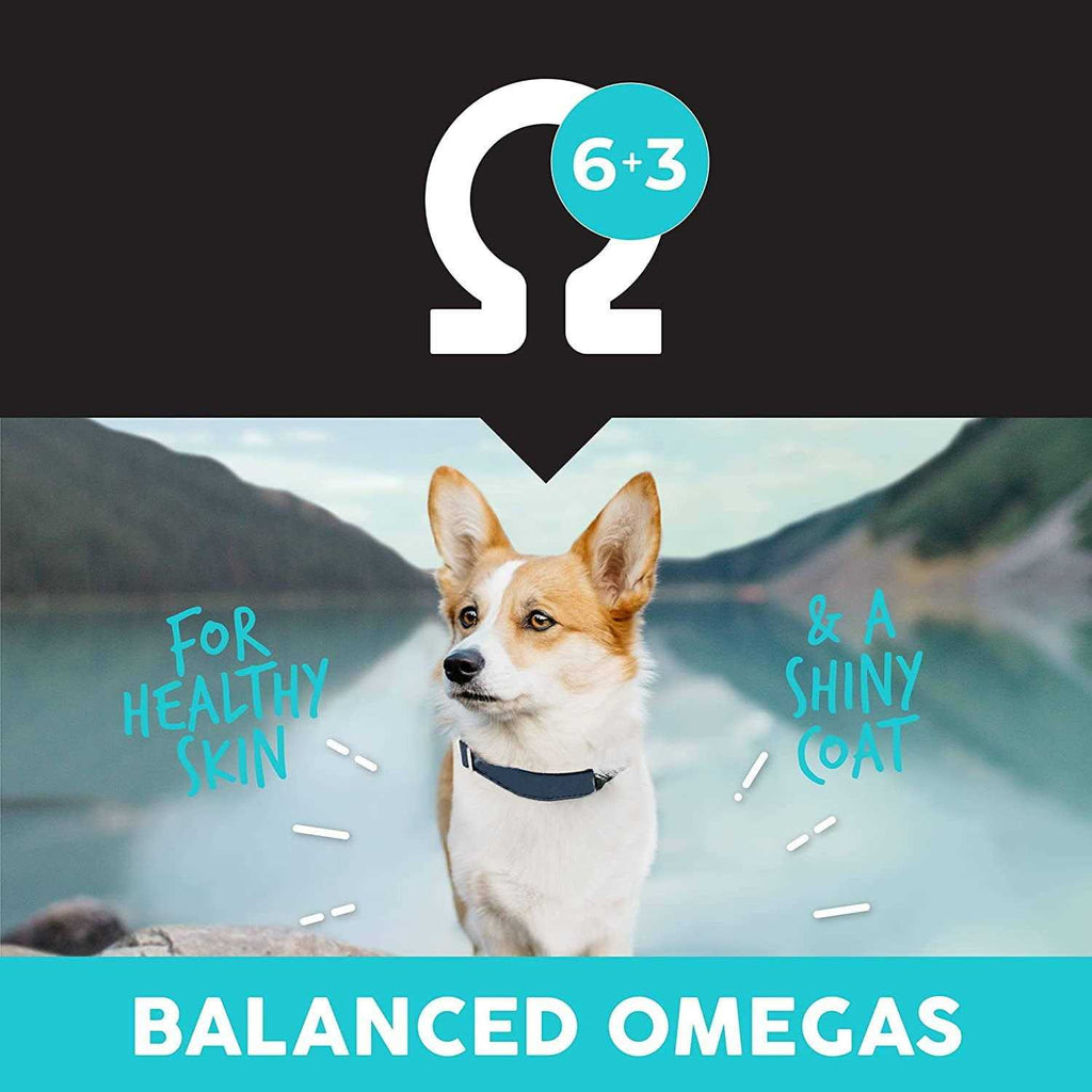 Grain-Free Fish & Potato Dry Dog Food R692