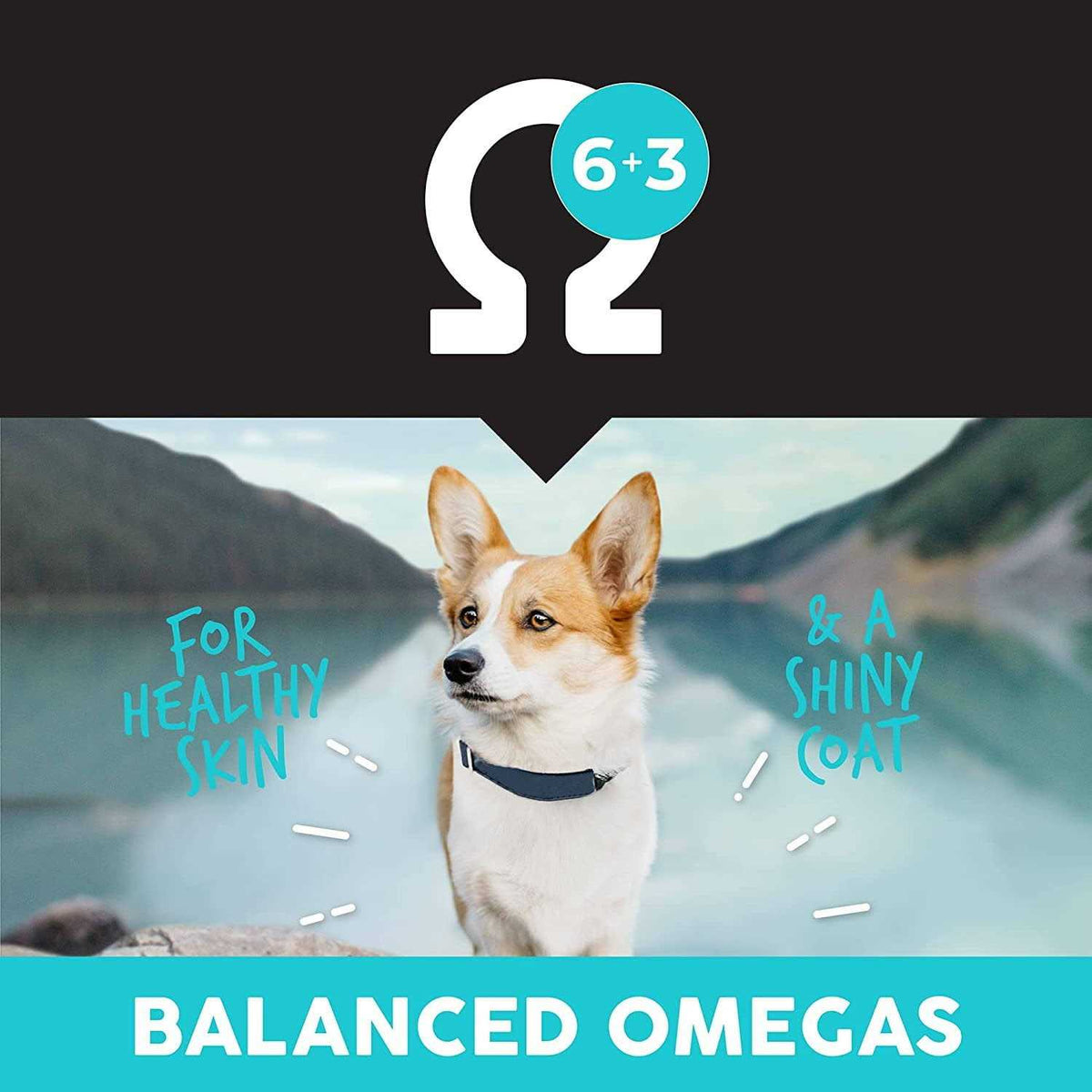 Grain-Free Fish & Potato Dry Dog Food R692
