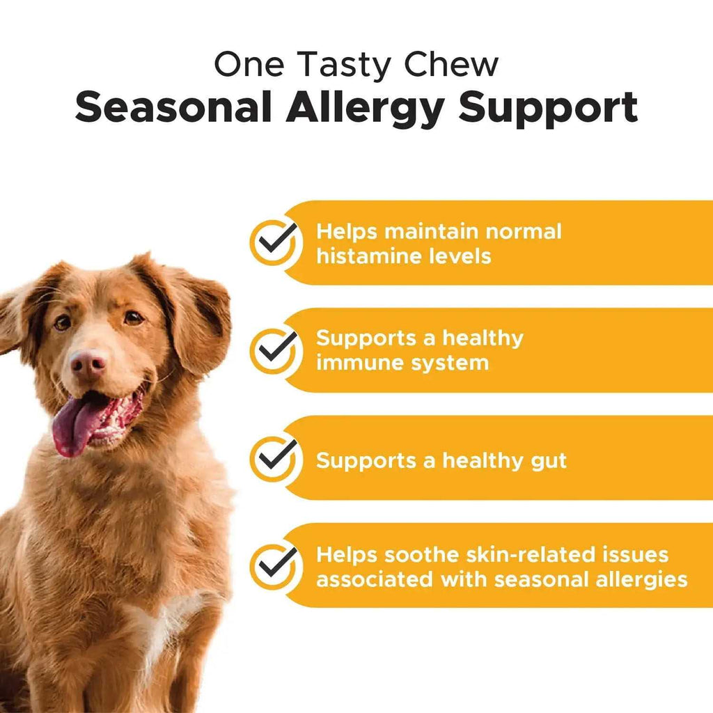 Allergy Support Chews for Dogs V768634