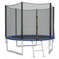 10ft Trampoline with Enclosure Net and Ladder P257821