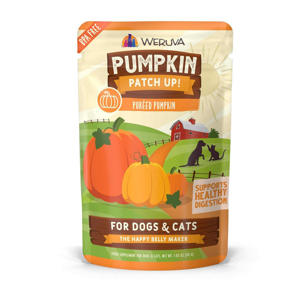 Pumpkin Patch Up U449459