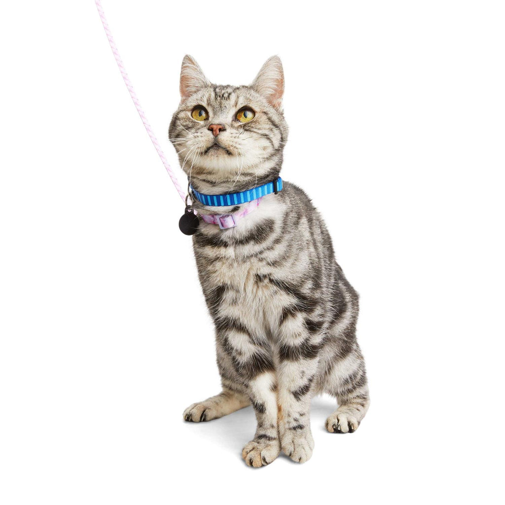 Kitten Harness & Lead F76279