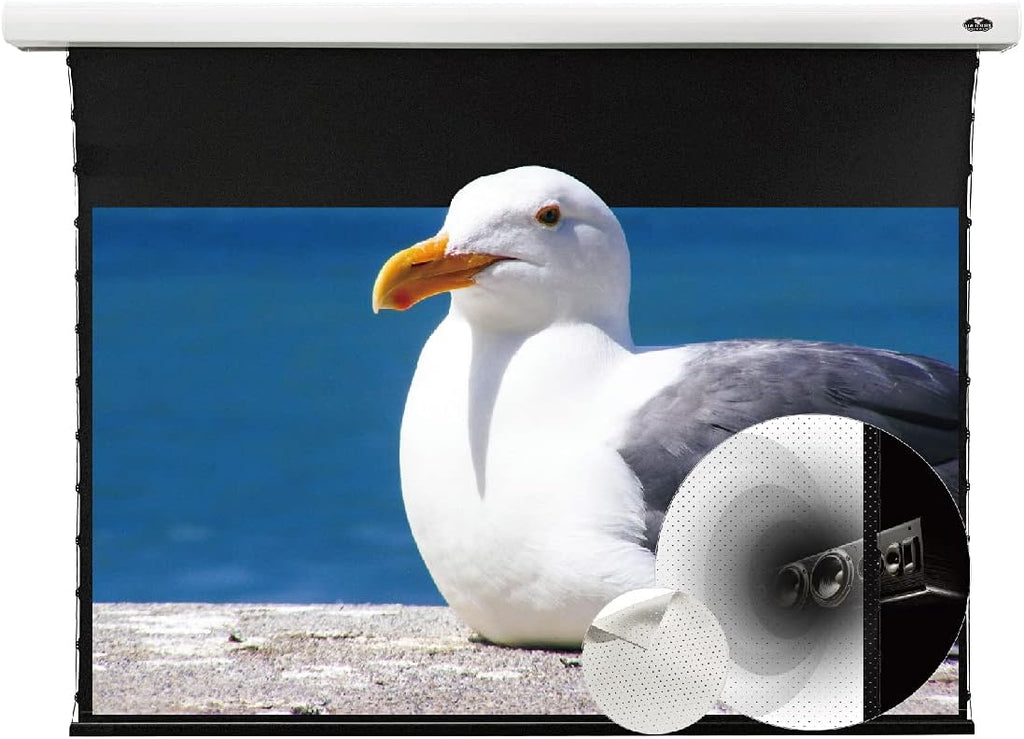 Motorized Tension Projector Screen Y775