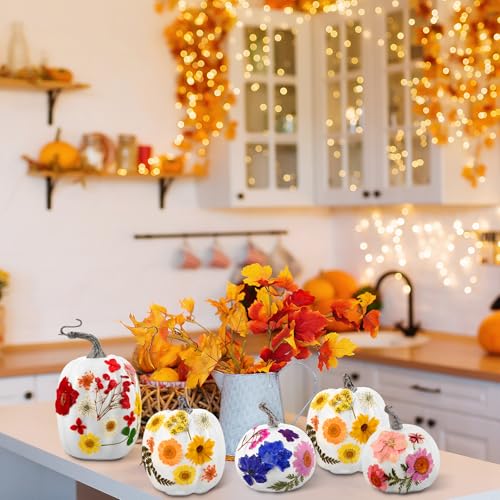 12 Pcs White Artificial Pumpkin and 140 Pcs Dried Flowers DIY Crafts Kit Q63664