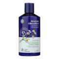 Anti Dandruff Conditioner 14 oz D808303