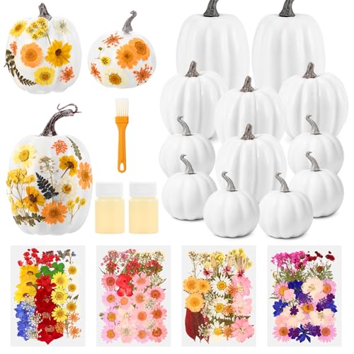 12 Pcs White Artificial Pumpkin and 140 Pcs Dried Flowers DIY Crafts Kit Q63664