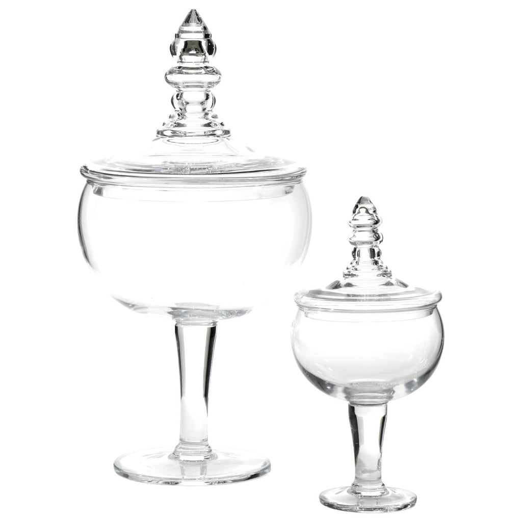 Glass Apothecary Jar Large F529