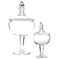 Glass Apothecary Jar Large F529