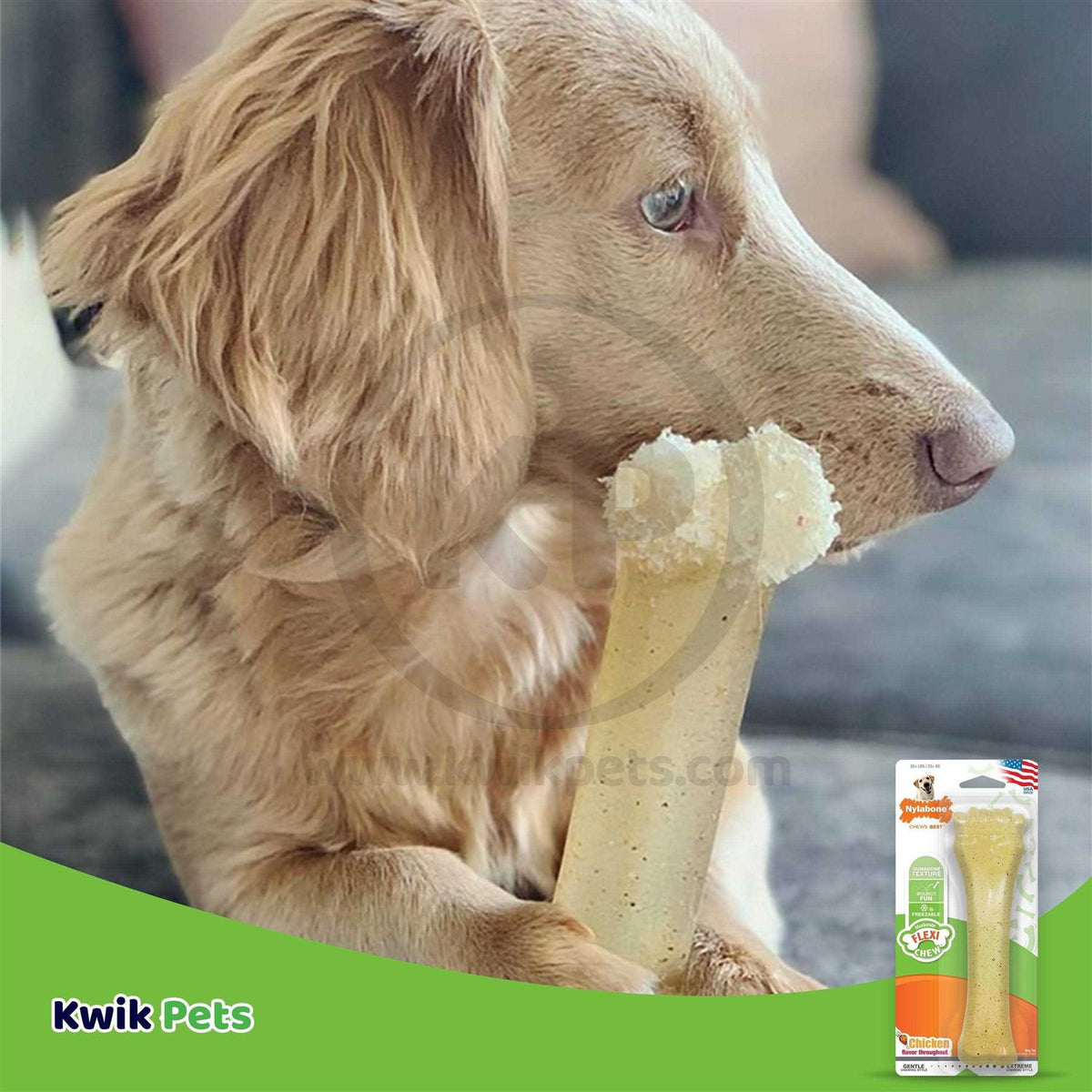 Chicken Chew Bone C614326