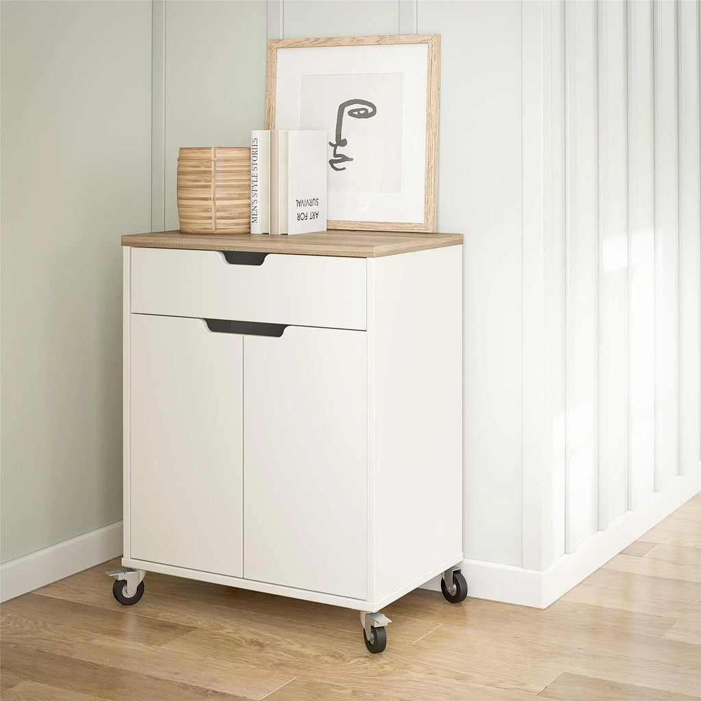 2 Door 1 Drawer Storage Cart with Locking Casters C983