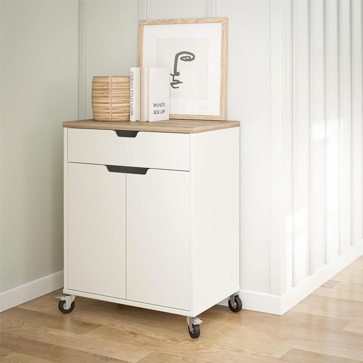2 Door 1 Drawer Storage Cart with Locking Casters C983