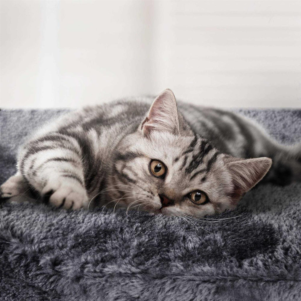 Plush Cat Tree Condo with Basket T393776