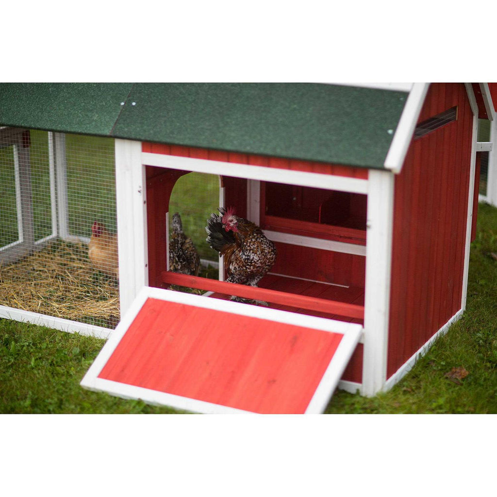 Red Barn Chicken Coop A640435