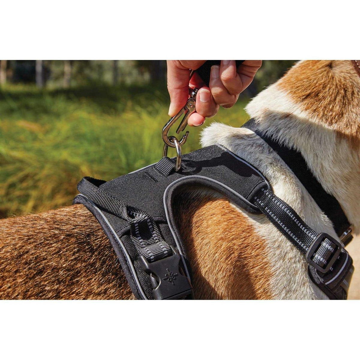 Black Front Walking Dog Harness L1779
