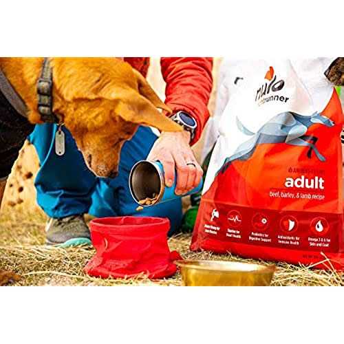 Turkey Dry Dog Food Z749