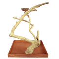 Medium Java Wood Table Top Play Stand T26086