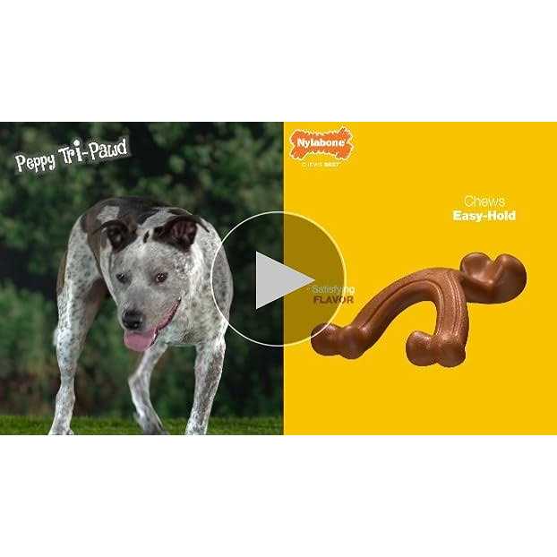 Chicken Chew Bone C614326