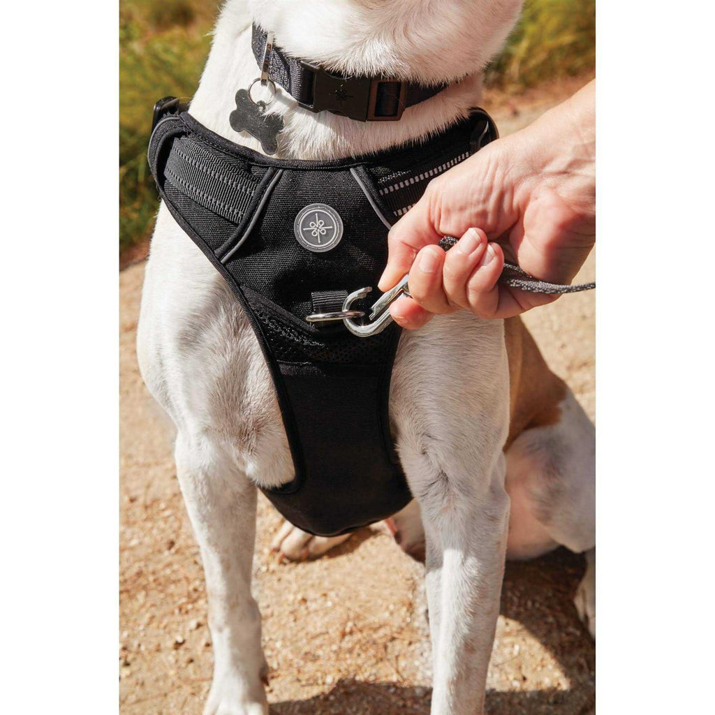 Black Front Walking Dog Harness L1779