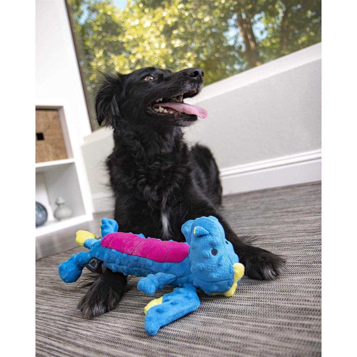 Dog Toy Y26419