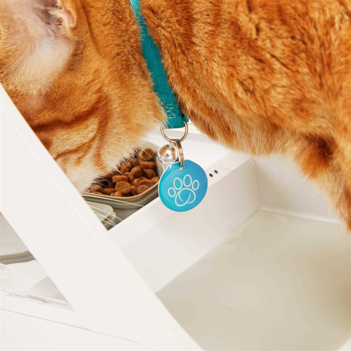 Microchip Pet Feeder W68960