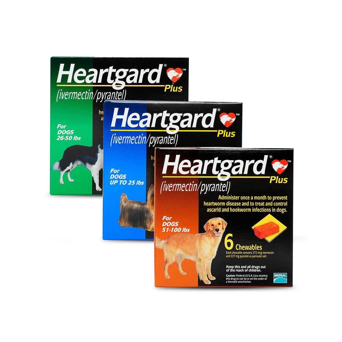 Chewables for Dogs 1-25 lbs Y704