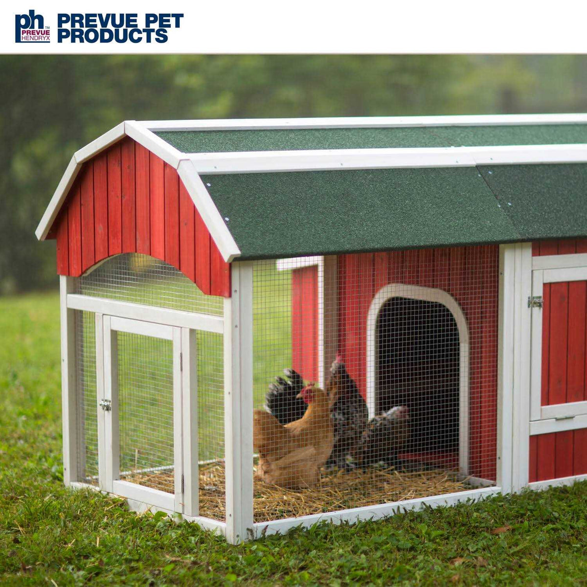 Red Barn Chicken Coop A640435