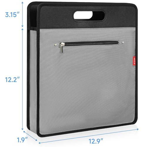 Vinyl Record Carrying Bag D2516