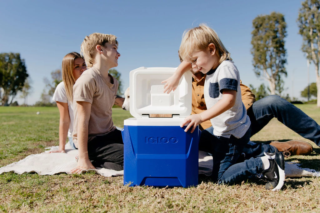 Blue 16 QT. Wheeled Ice Chest Cooler V5160