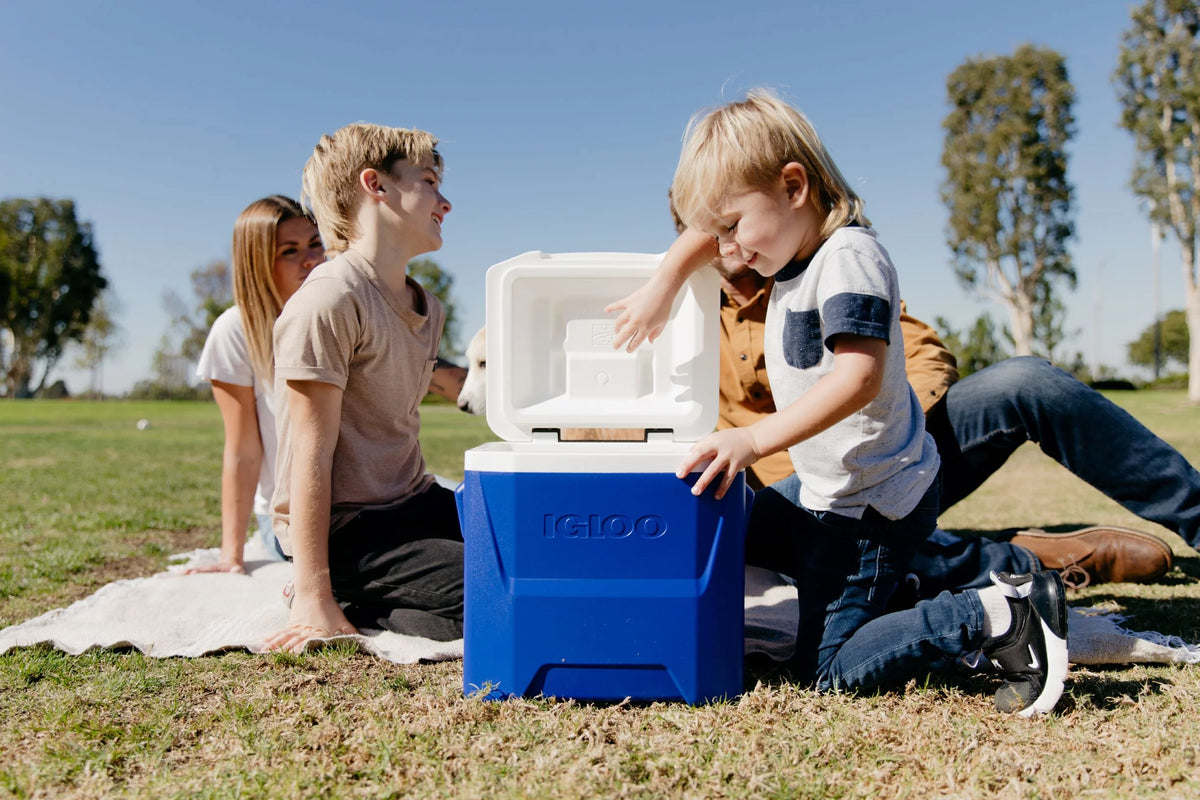 Blue 16 QT. Wheeled Ice Chest Cooler V5160