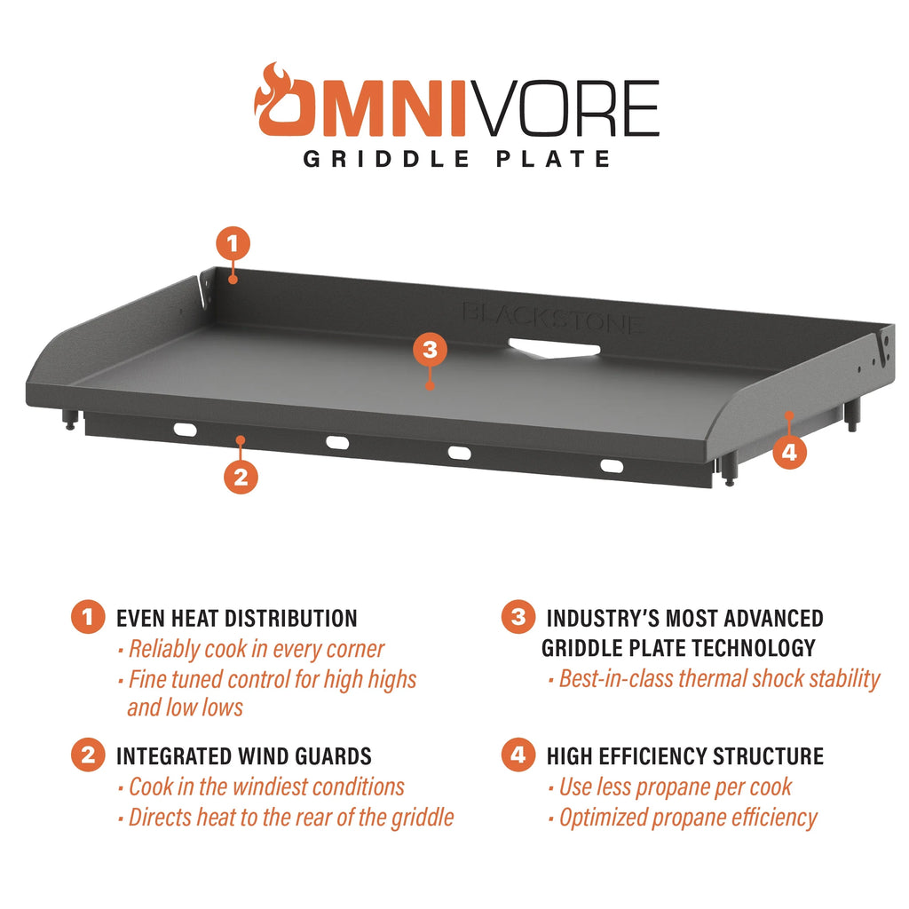 2-Burner Propane Griddle D4315