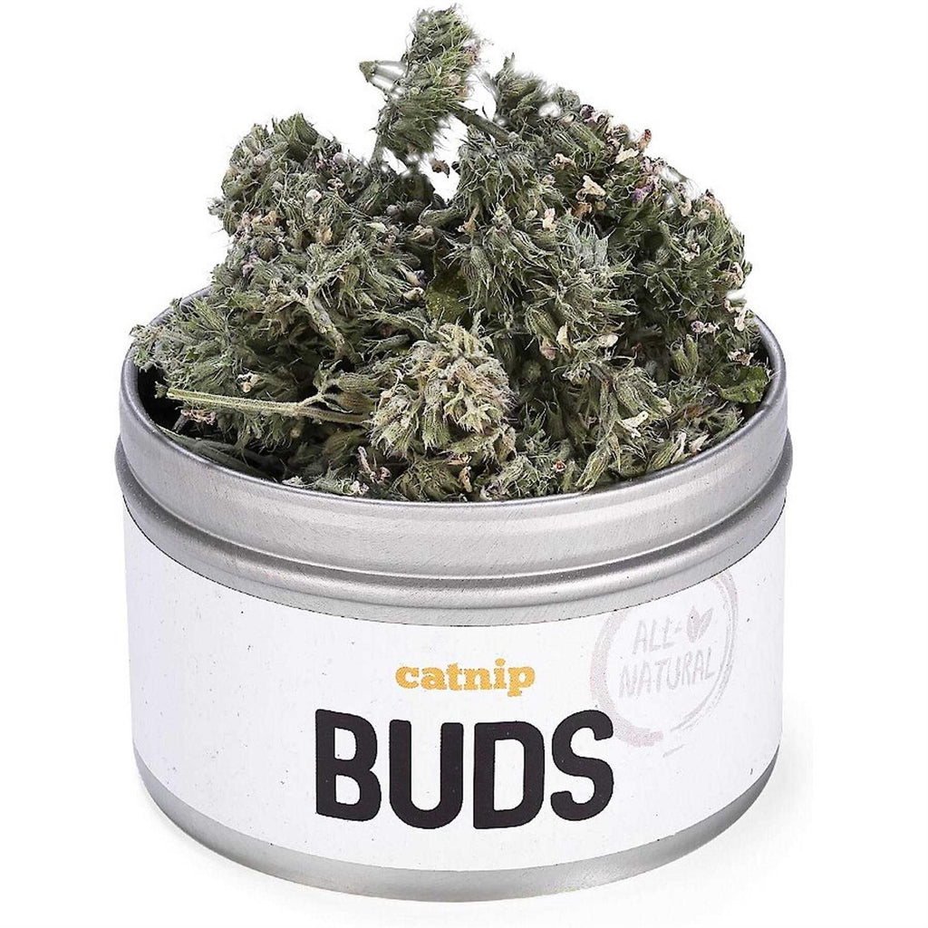 Catnip Buds F92986