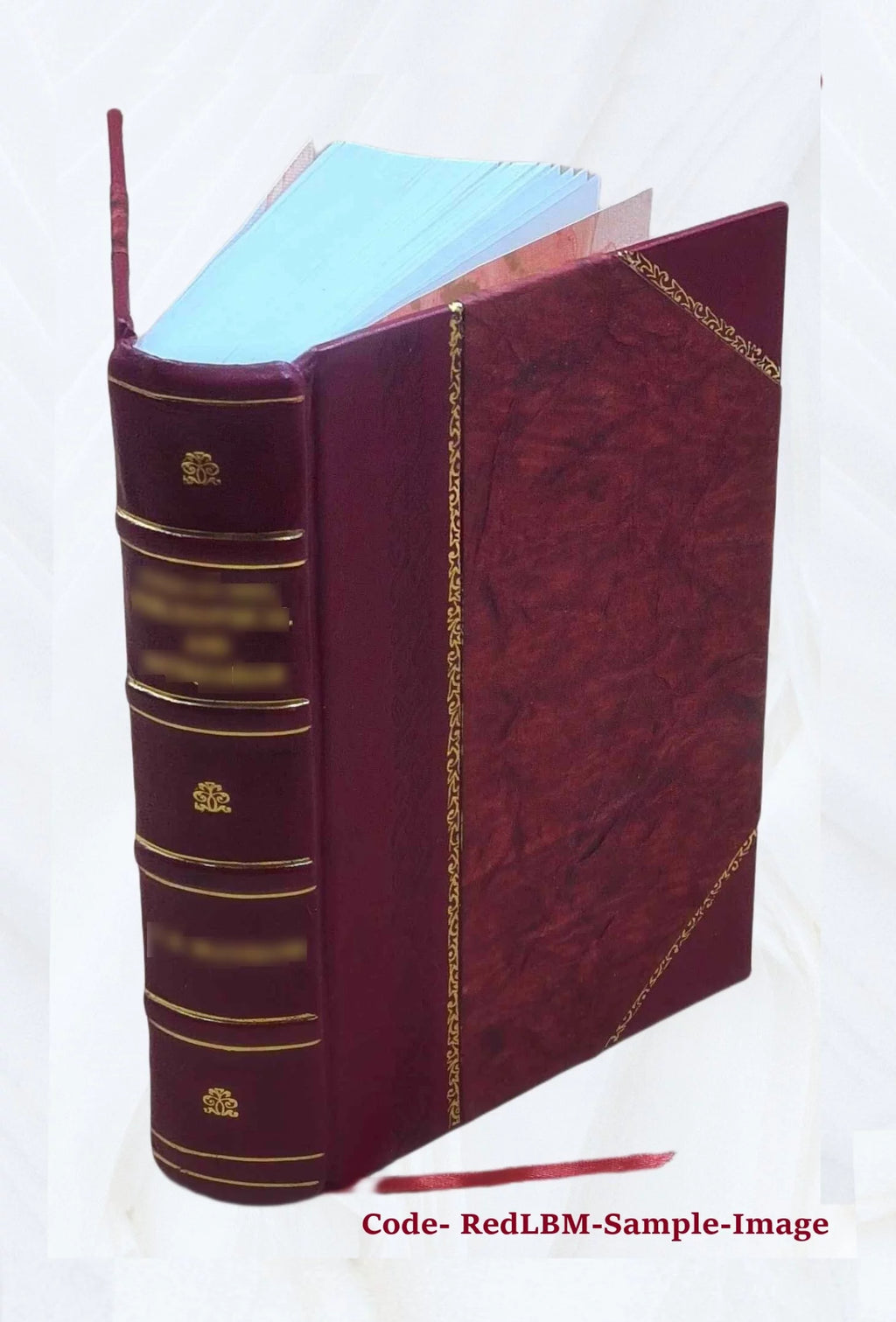 Leather Bound Q69591