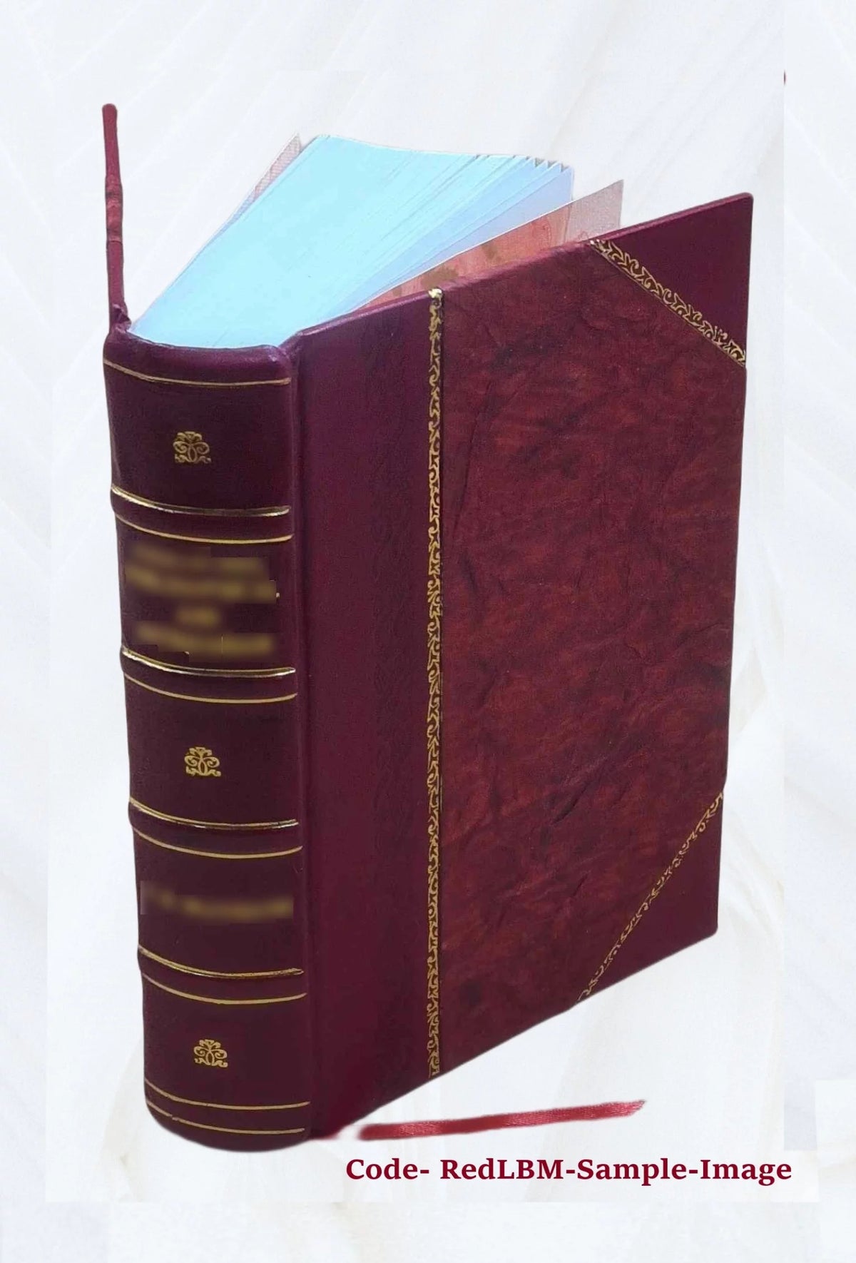 Leather Bound Q69591