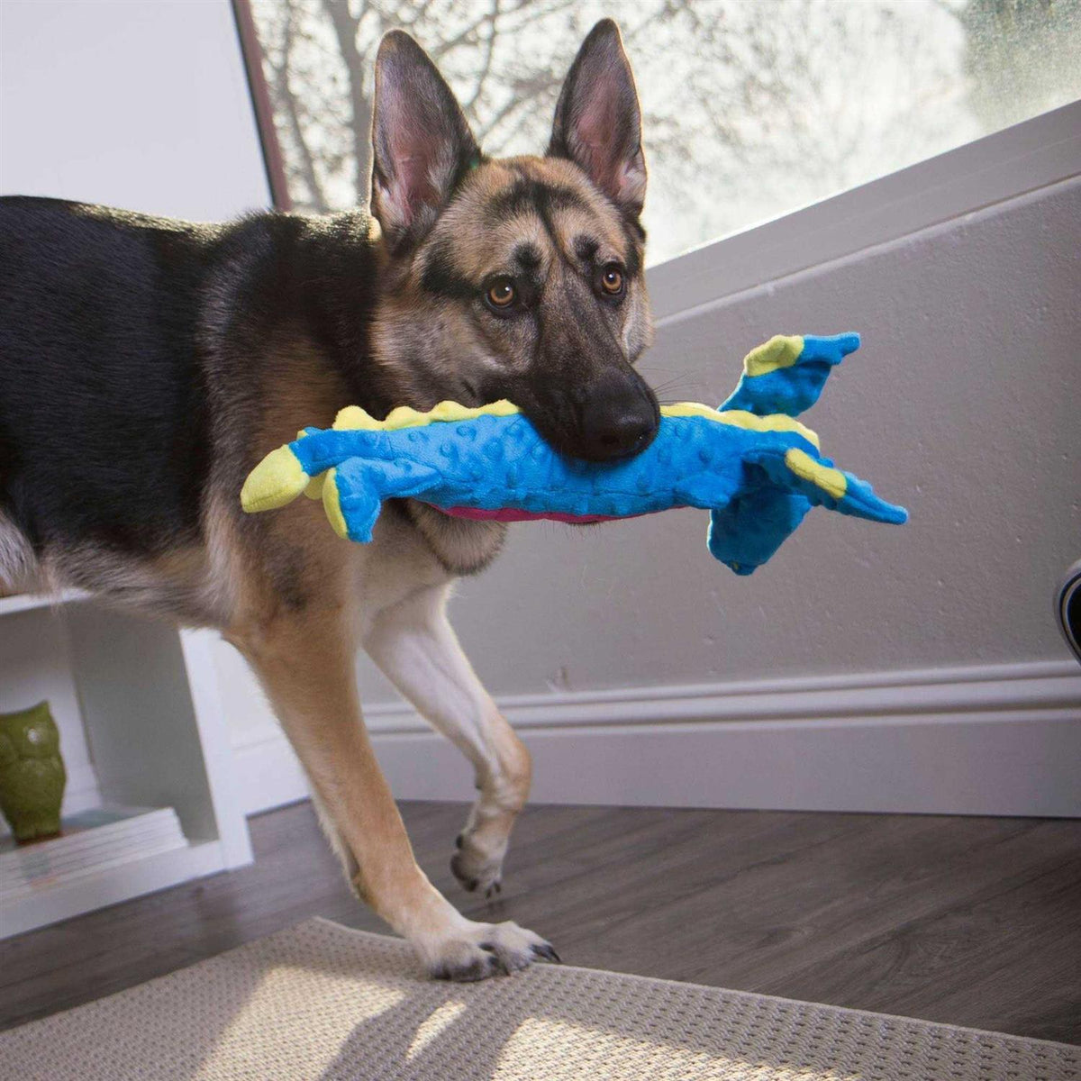 Dog Toy Y26419