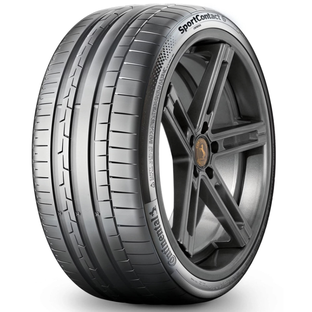 245/35ZR19 93Y XL Summer Passenger Tire T87581