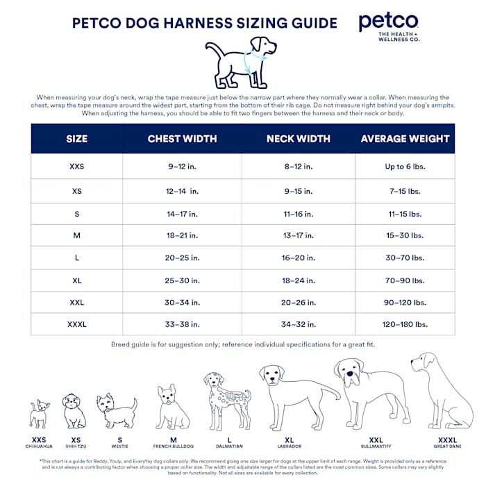 Mesh Dog Harness B1171