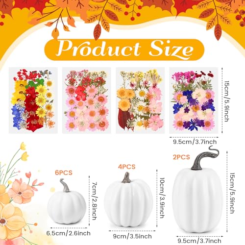 12 Pcs White Artificial Pumpkin and 140 Pcs Dried Flowers DIY Crafts Kit Q63664